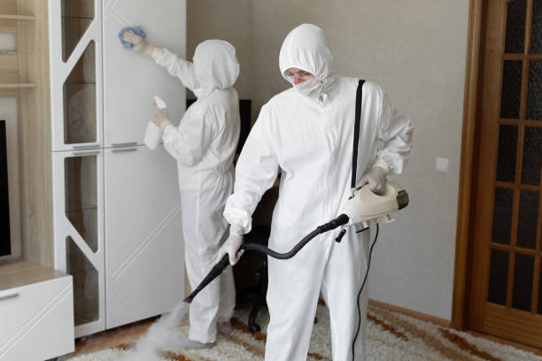 Best Crawl Space Mold Removal  in Marbleton, WY