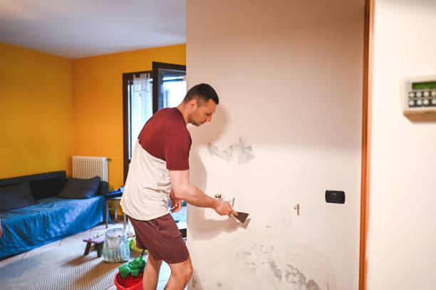 Best Best Mold Removal Companies  in Marbleton, WY